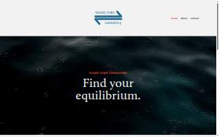 Lakeview Wellness Counseling website