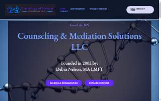 Counseling & Mediation Solutions LLC website