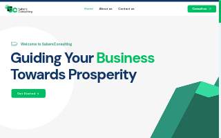 Sabers Consulting website