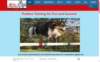 Agile Canines Training School of Hopkins website