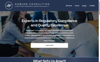 NobleQ Consulting website