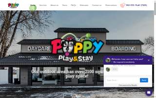 Puppy Play and Stay website