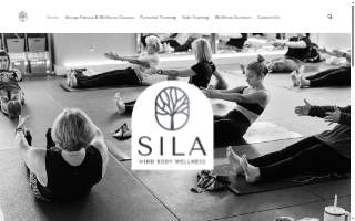 Sila Wellness of Maplewood website