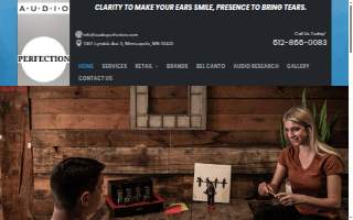 Audio Perfection website