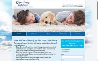 Cleantastic Solutions website