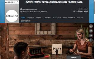 Audio Perfection website