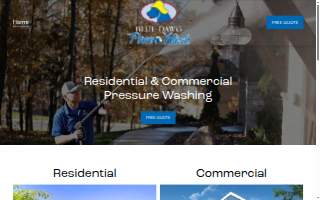 Blue Dawg Power Wash website