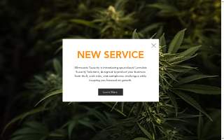 Minnesota Security - Home & Business Security Systems of South St. Paul website