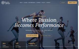 Curio Dance website