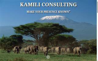 Kamili Consulting website