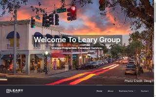 The Leary Group website