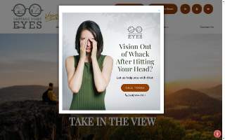 Vantage Point Eyes website