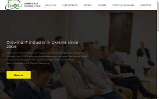 LEM Business Solutions website