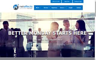 NetEffects, Inc. website