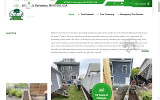 Nelson's Tree Service, LLC website