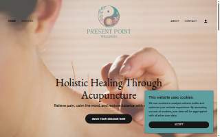 Present Point Wellness of Concord website