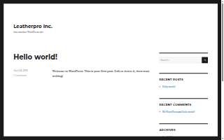 Leather Pro & Integrity Carpet Cleaning-TCG website