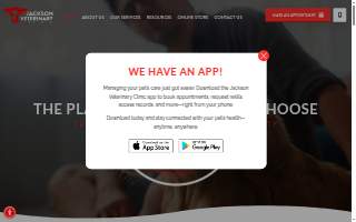 Jackson Veterinary Clinic website