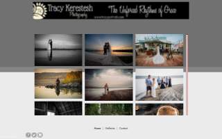 Portraits By Tracy website