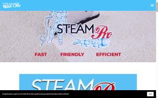 SteamPro Carpet Cleaning website
