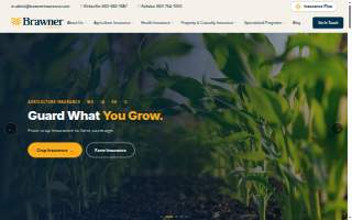 Brawner Insurance website
