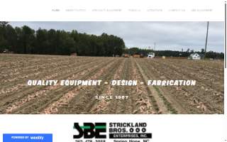Strickland Brothers 10 Minute Oil Change of Liberty website