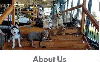 Unique Canine, LLC of Liberty website