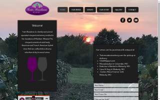 Twin Meadows Winery website