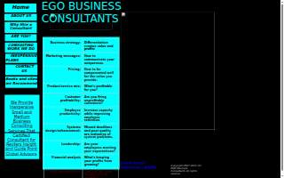 EGO Business Consultants website