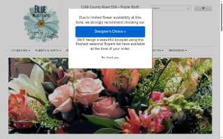 Blue Relics & Revivals website