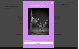 Fearless Dance Center website