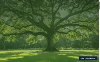 Oak Road Wealth Management of Raymore website