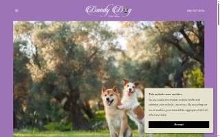 Dandy Dog Day Spa website