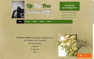 Up Top Tree of St. Charles website