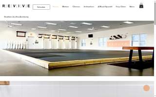 Revive Brazilian Jiu jitsu website