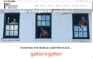 Pro Precision Painting website