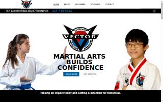 Vector Martial Arts - Wentzville website