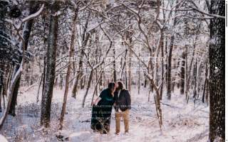 Cindy Lee Photography website