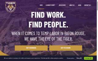 Tiger Rock Academy - Brandon Mississippi website