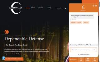 Calderón Law website