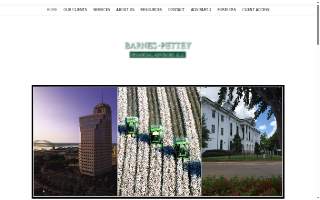 Barnes Pettey Financial Advisors LLC: Art Smith, CFP & Kim McRee website