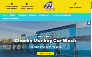 Cheeky Monkey Car Wash website