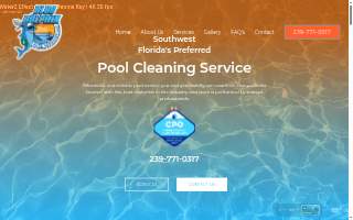 Blue Dolphin Pool Services website