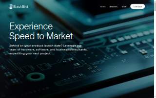 BlackBird Technology Ventures website