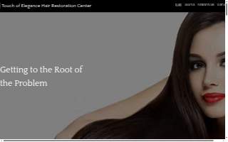 Touch of Elegance Hair Restoration Center website