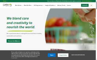 Griffith Web Design website