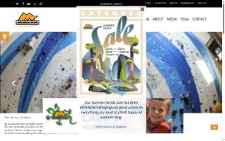 Momentum Marketing + Website Design website