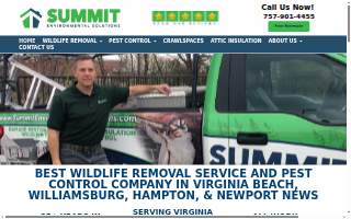 SES Termite & Pest website