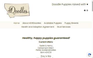 406 Doodles website