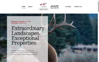 AWE Real Estate Inc. website
